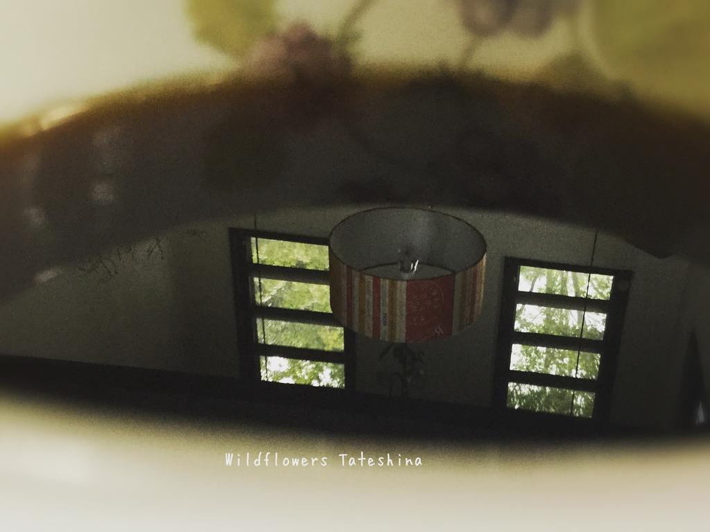 Pension Wildflowers Татесіна Екстер'єр фото
