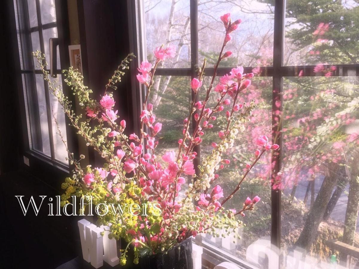 Pension Wildflowers Татесіна Екстер'єр фото