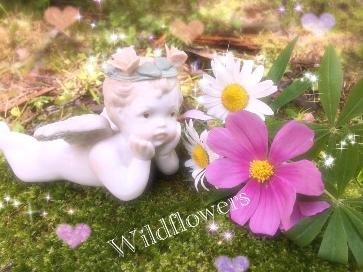 Pension Wildflowers Татесіна Екстер'єр фото